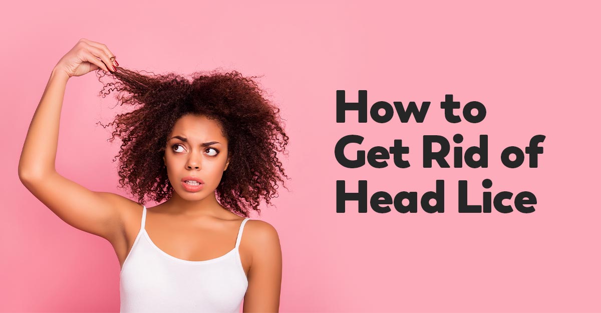 Does Hairspray Kill Head Lice? Find Out Here